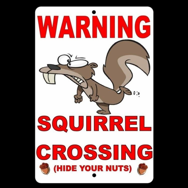 Warning Squirrel Crossing (Hide Your Nuts) Metal Sign warning slow novelty