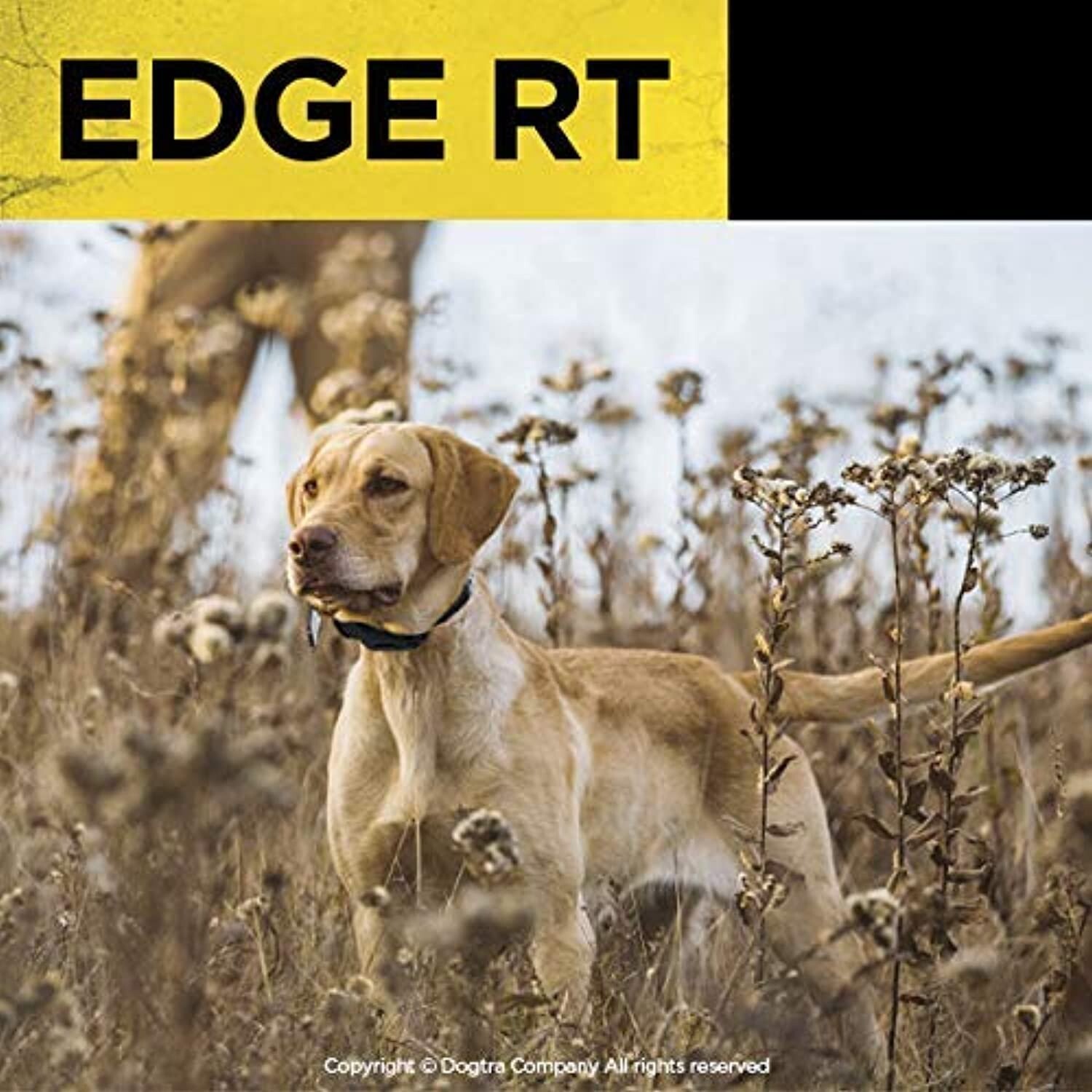 Dogtra EDGE RT Add RX Orange - 1 Mile - Additional Collar
