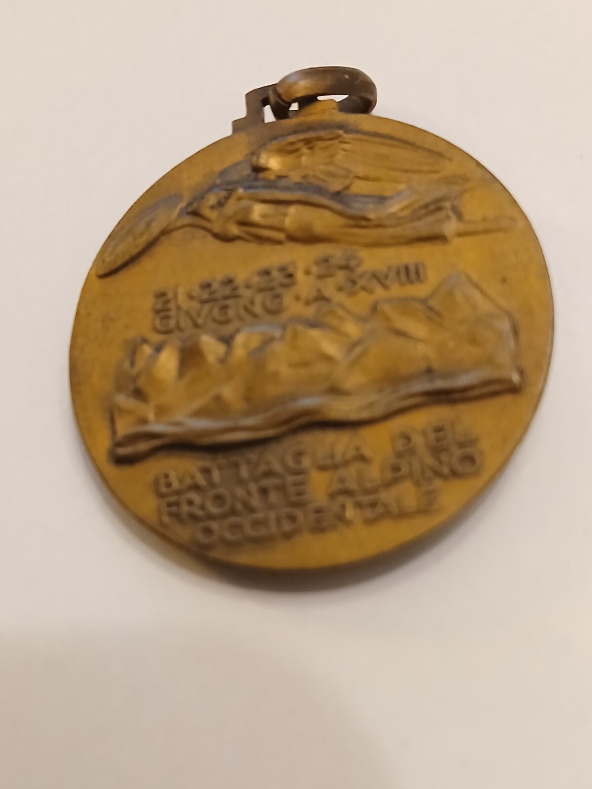 western alpine front battle medal crm3500
