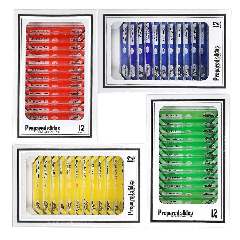 Prepared Microscope Slides, 48pcs Plastic Animals Insects Plants Flowers Sample