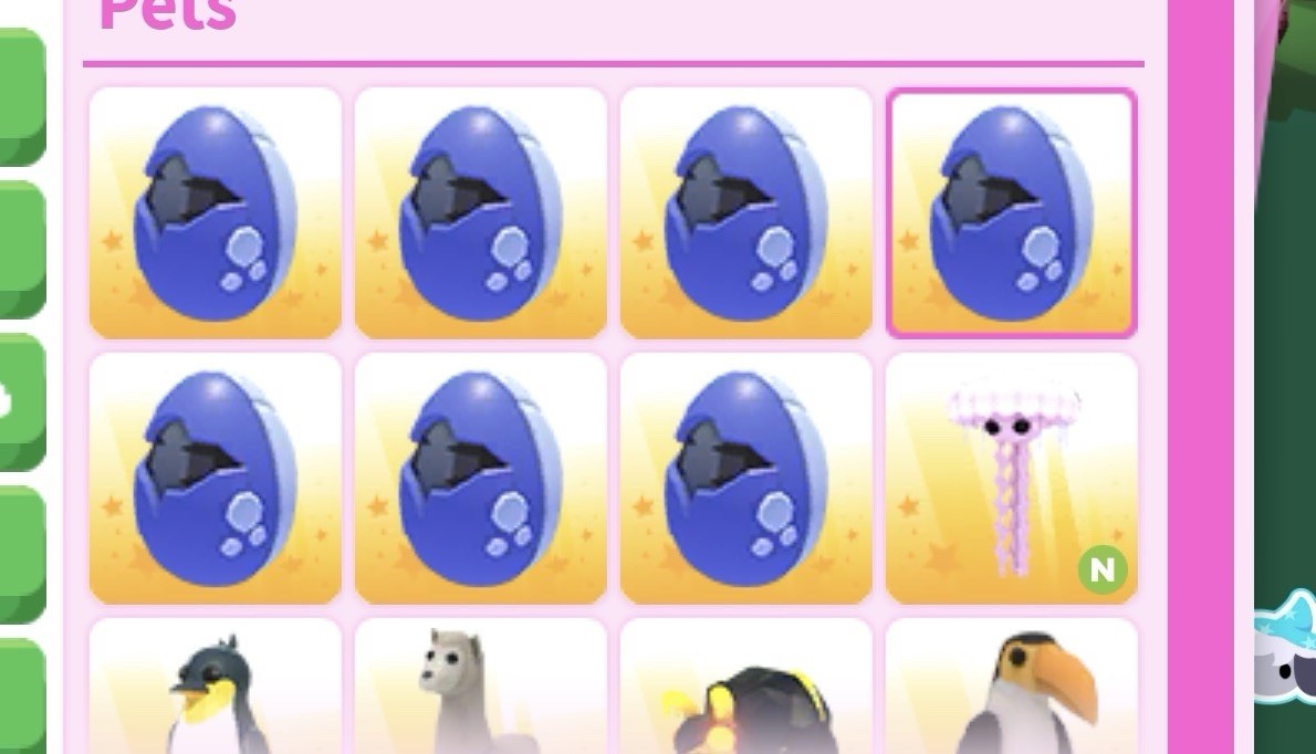 8 Endangered eggs