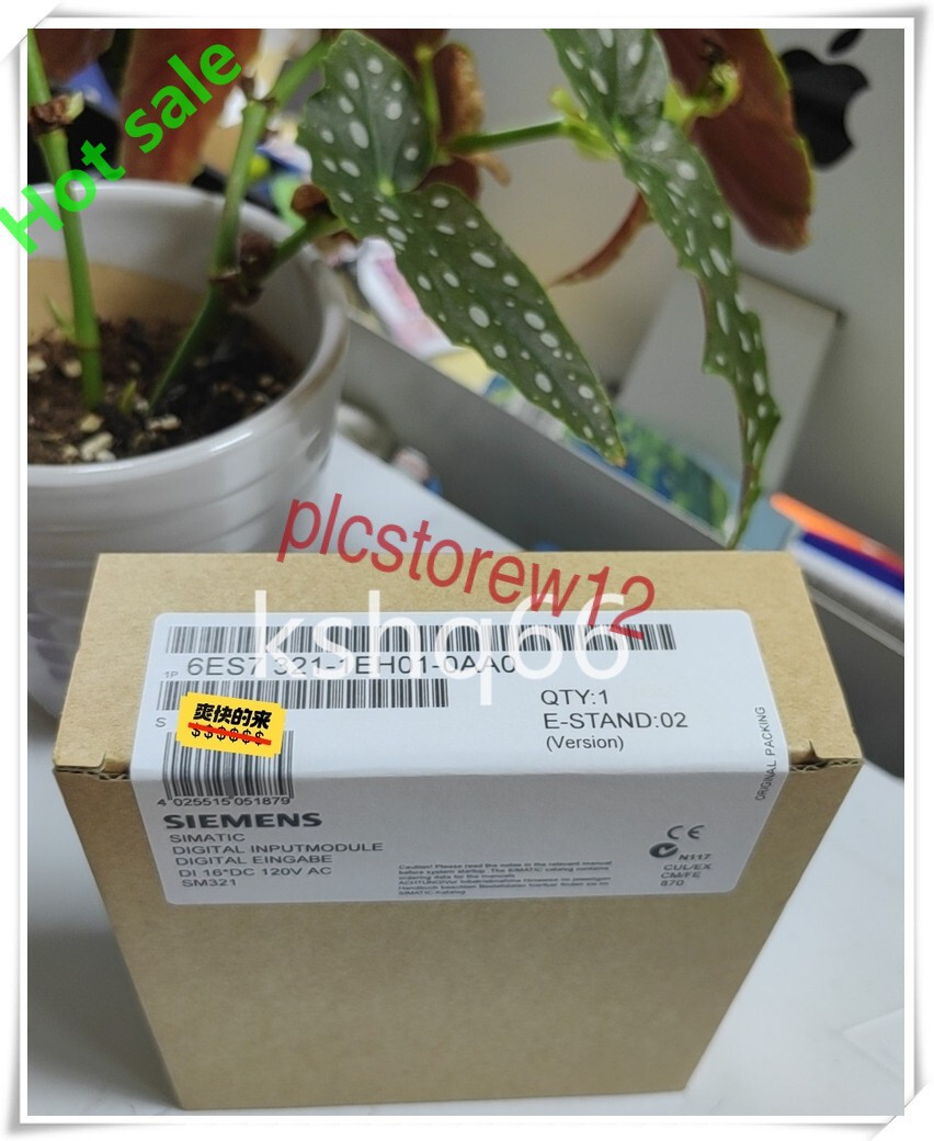 1P Siemens PLC 6ES7321-1EH01-0AA0 6ES7 321-1EH01-0AA0 Fast delivery