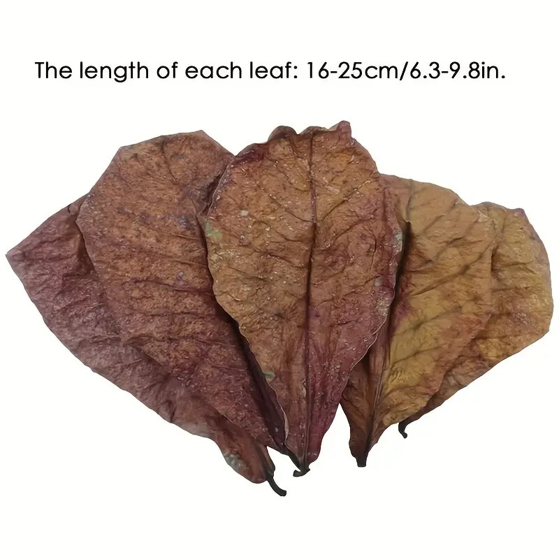 Natural Aquatic Almond Leaves for pH Balance and Water Conditionings X2 E