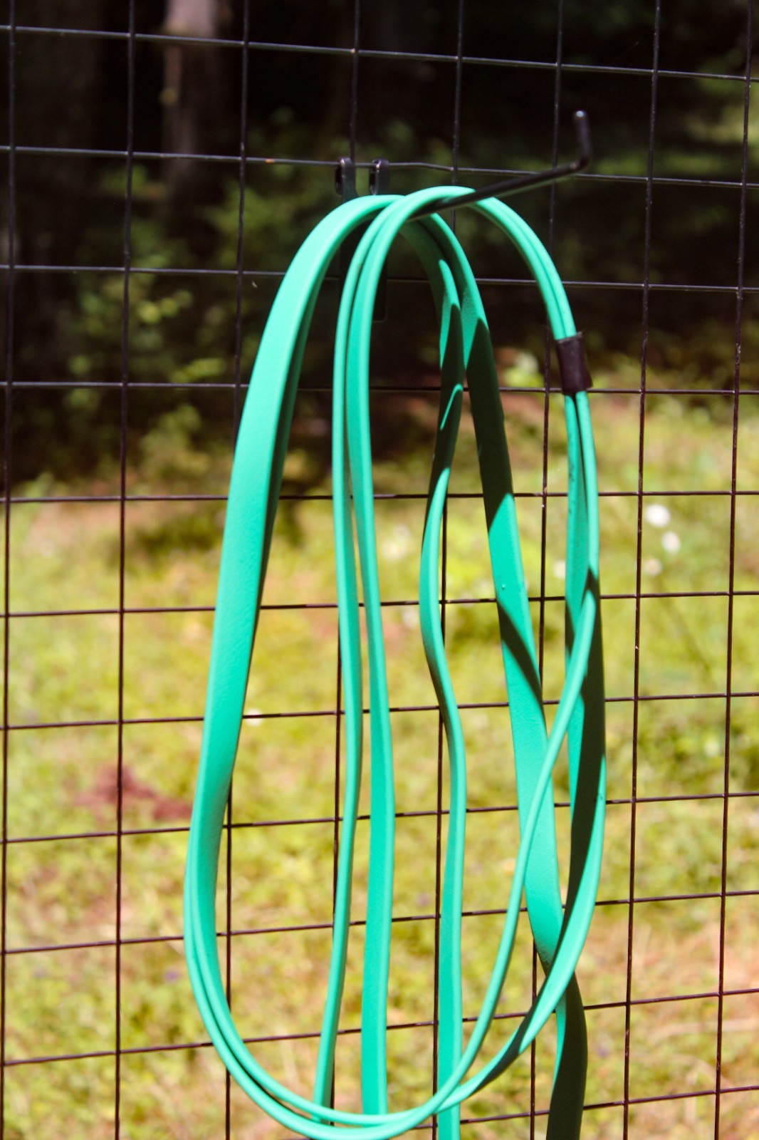 Biothane Split Reins - Kelly Green