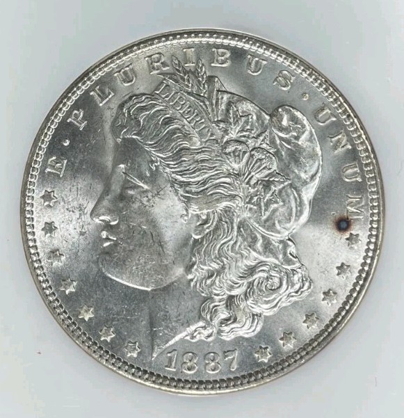 1887 MORGAN SILVER DOLLAR ~ NGC MS 64 ~BEAUTIFUL COIN~REF#47-029