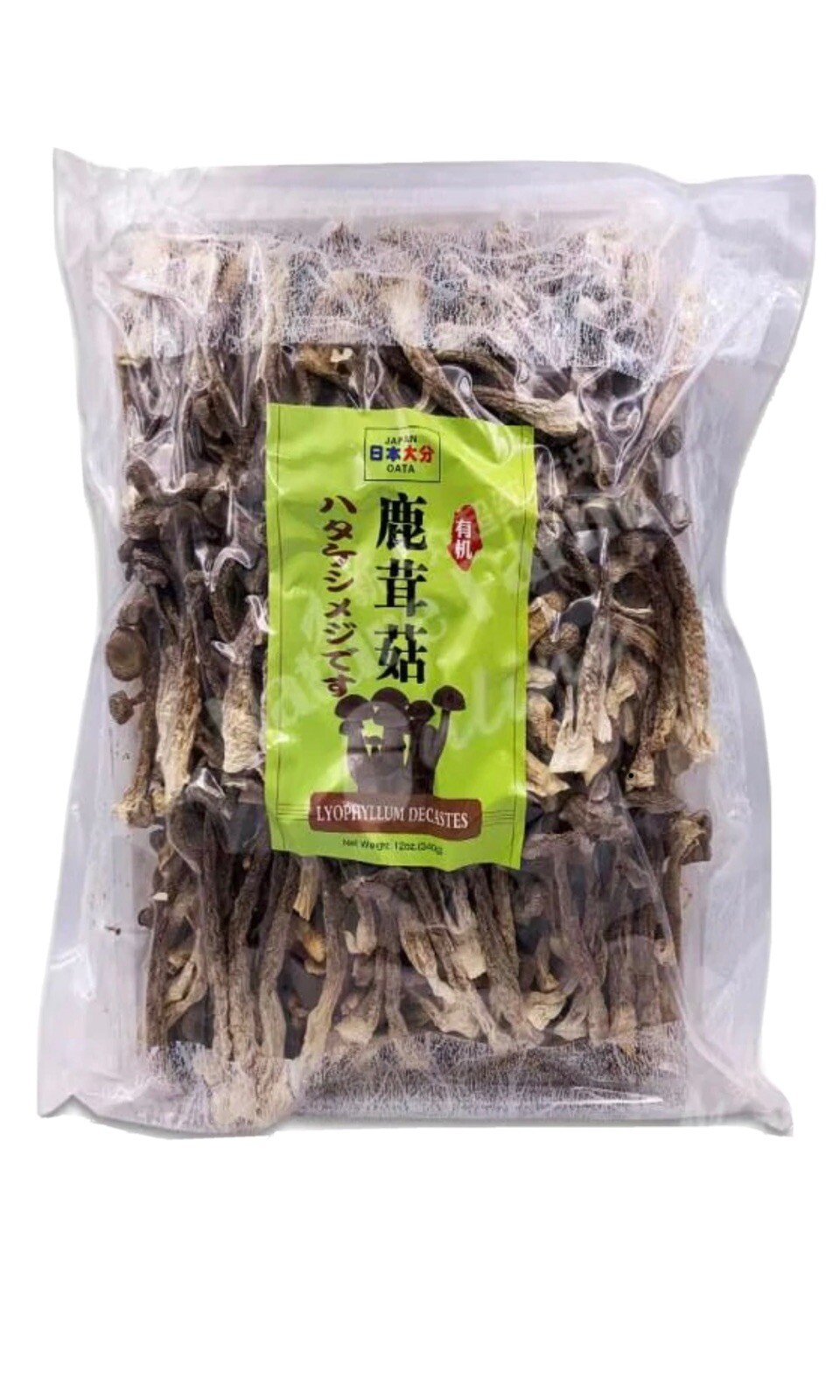Japan OATA Brand Dried Velvet Antler Mushroom (12 Oz) Lyophyllum Decastes 鹿茸菇