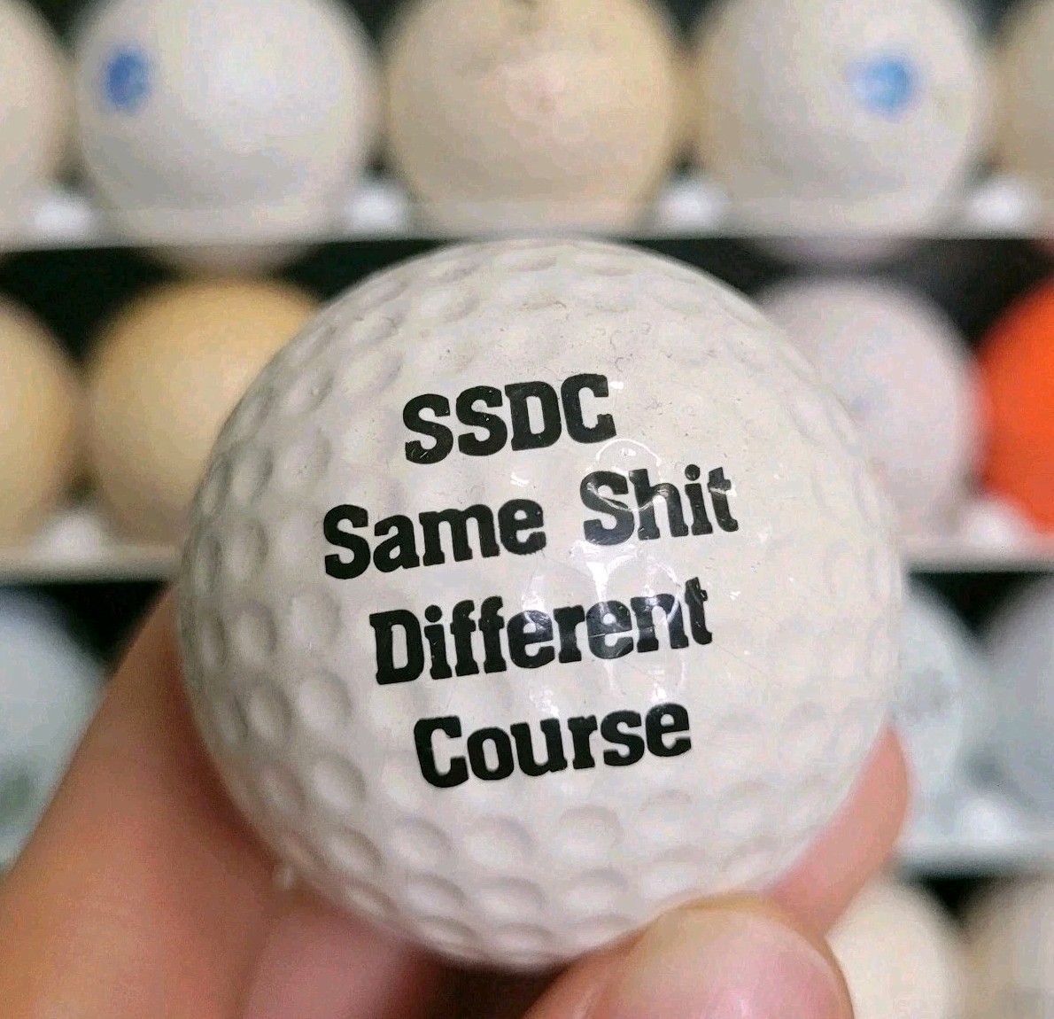 SSDC Same Sh*t Different Course Logo Used Golf Ball A-1-8 Funny Ball 1ct (One)