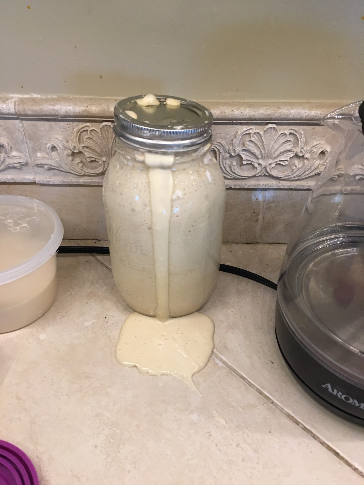 yeast from 1633 HISTORIC Bavarian "Black Death" PLAGUE Sourdough Starter