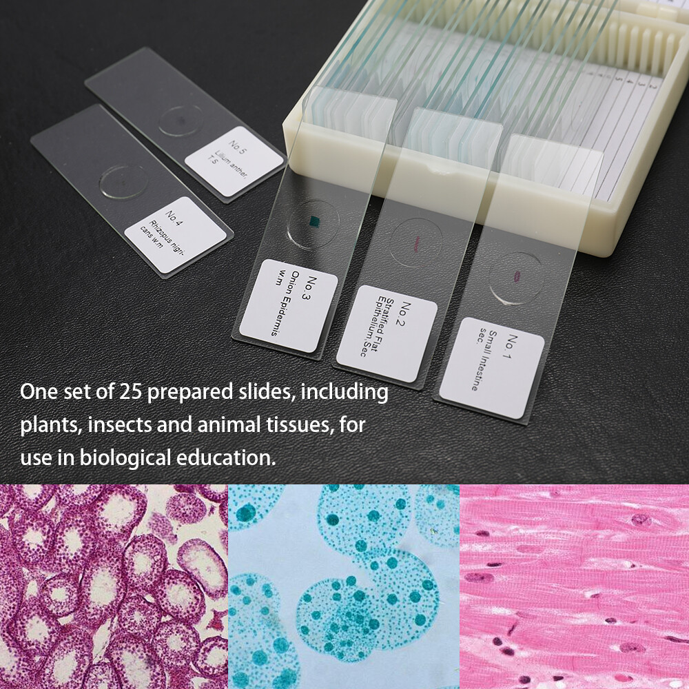 25PCS Animal Plants Insects Tissues Cover Slips Microscope Slides L4P4