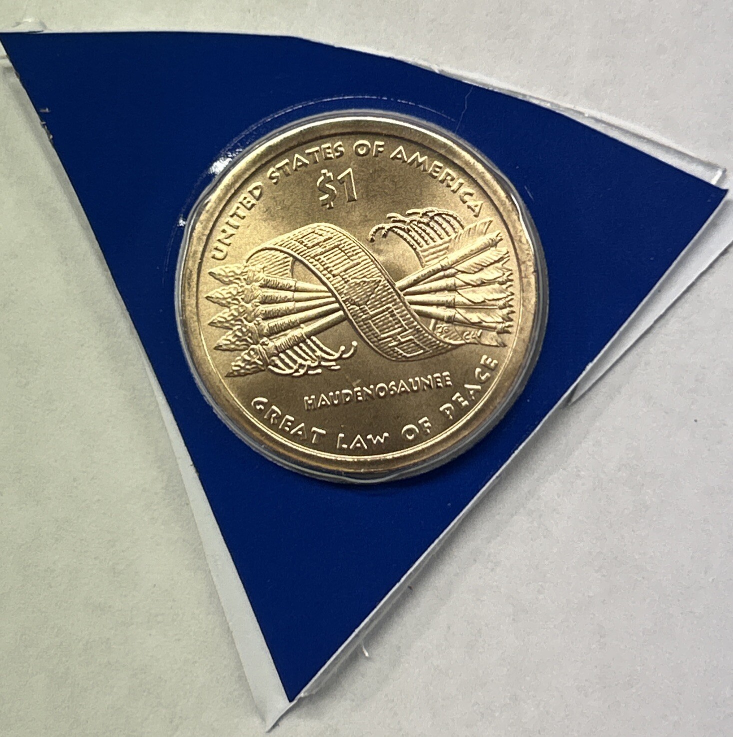 2010-P Sacagawea Native American Dollar from Mint Set in Mint Plastic Ships Free