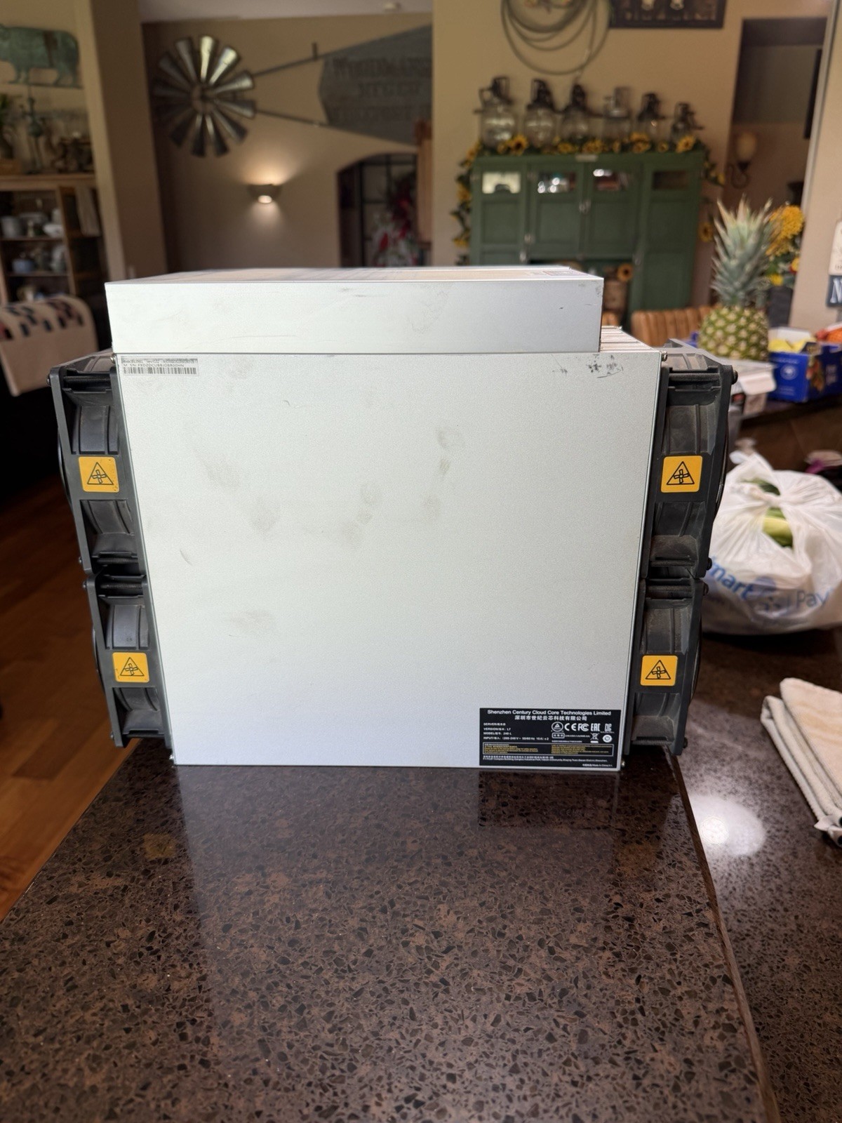 4 BITMAIN Antminer L7 9050. Hooked up since 2022