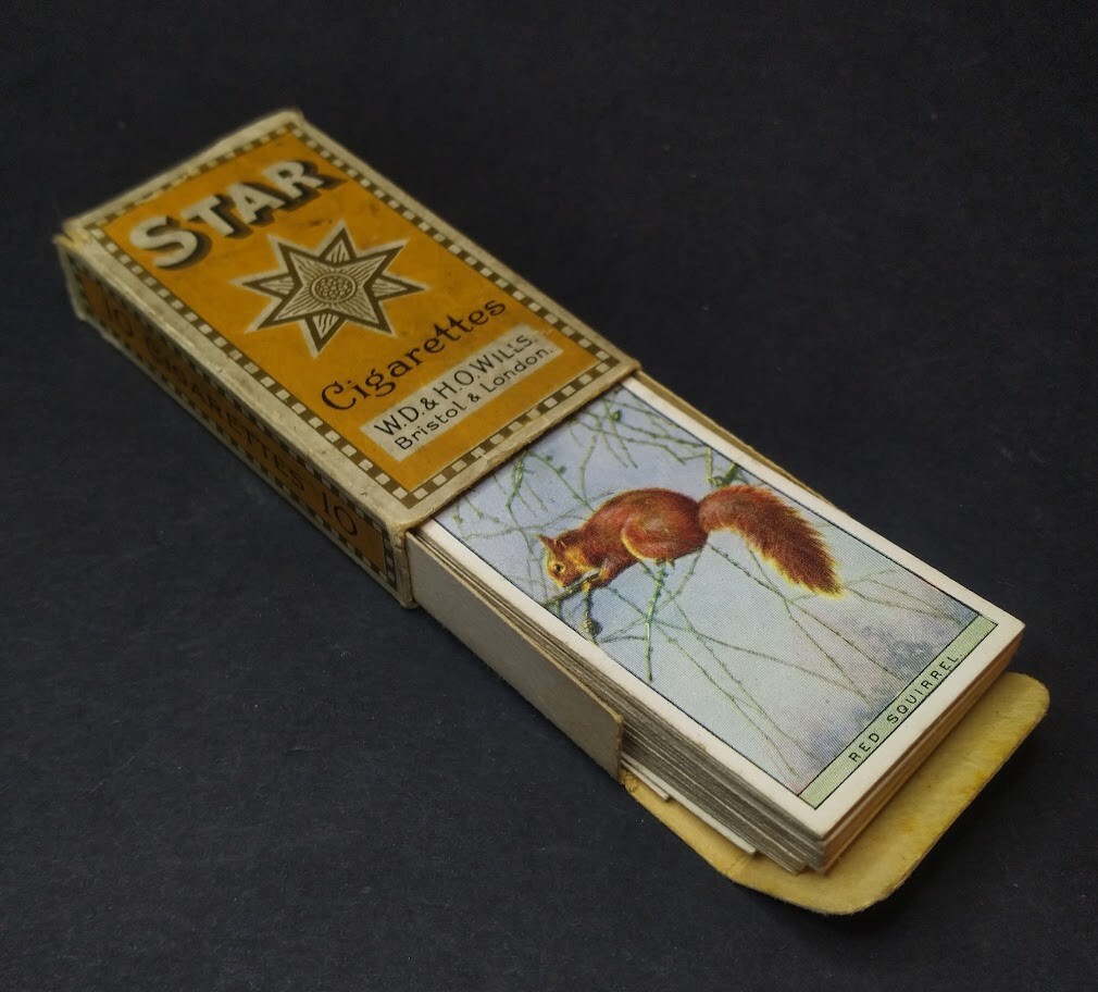 Collectible Antique Star Cigarettes Box With Birds Card Set