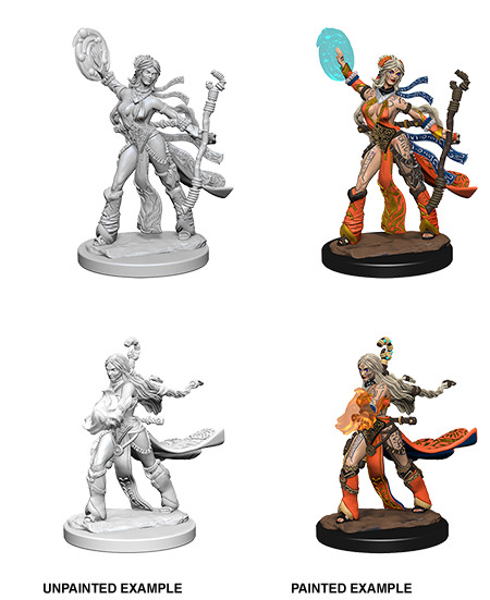 Pathfinder Battles Deep Cuts Unpainted Miniatures: Human Female Sorcerer