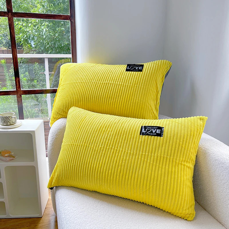 A pair simple coral velvet soft rectangular pillowcases 2PCS 48x74cm zipped pill
