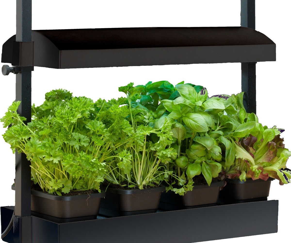 Sunblaster T5 Grow Light Garden, Black