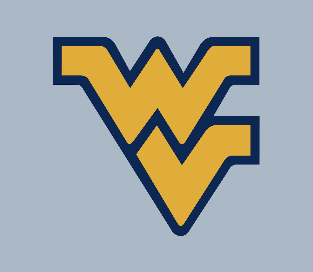 Car Magnet - West Virginia Mountaineers College Football NCAA - MAGNET