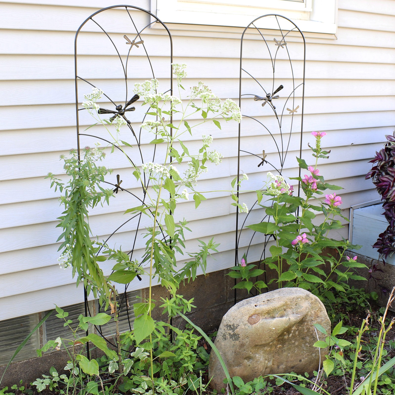 56" Black Metal Garden Trellis for Climbing Plants, 2-Pack by Sunnydaze