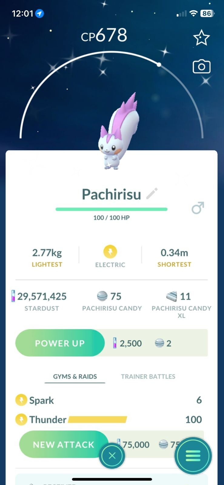 AMAZING!!! ✨ SHINY REGIONAL PACHIRISU!!! ✨ - PKMN GO!!! - NOT REGISTERED!!!