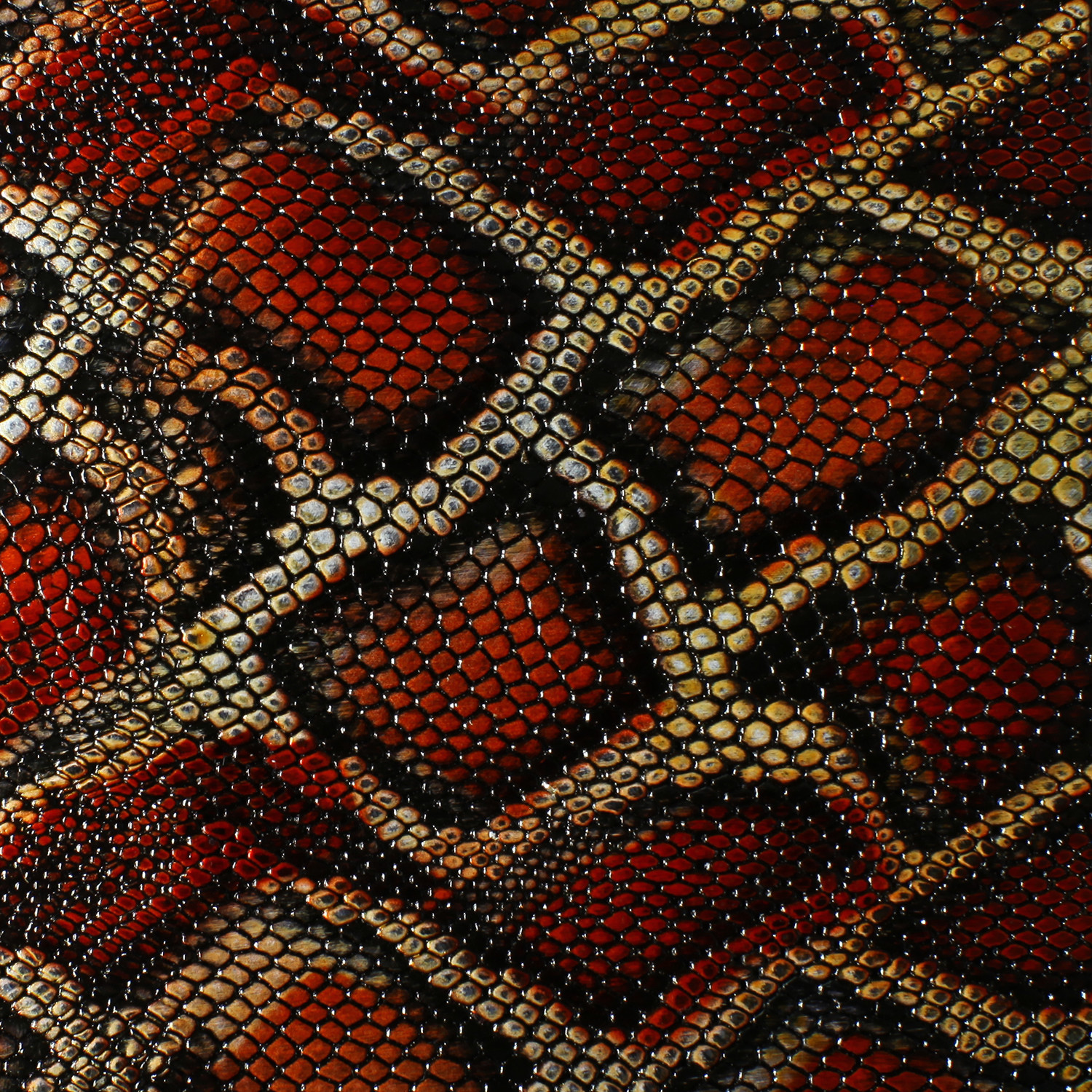 Leather Wrap Blank - Python Print Brown FREE SHIP 002133