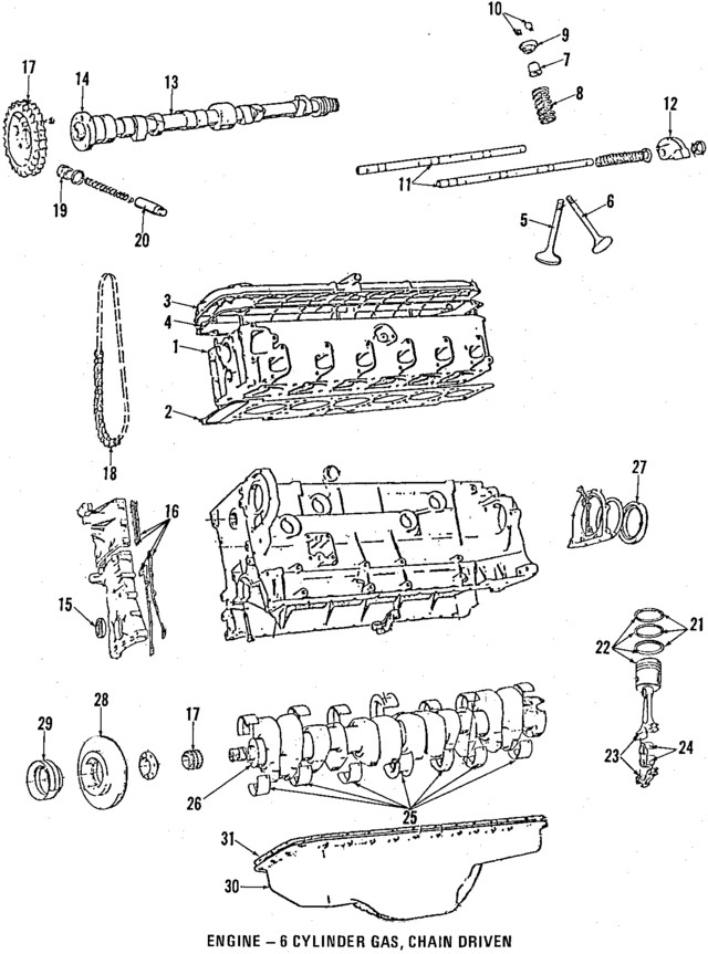 Genuine BMW Valve Springs 11-34-1-276-504