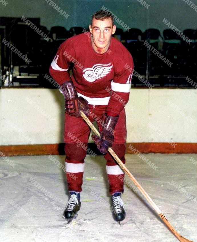GW136 Gary Aldcorn Detroit Red Wings 8x10 11x14 16x20 Colorized Photo