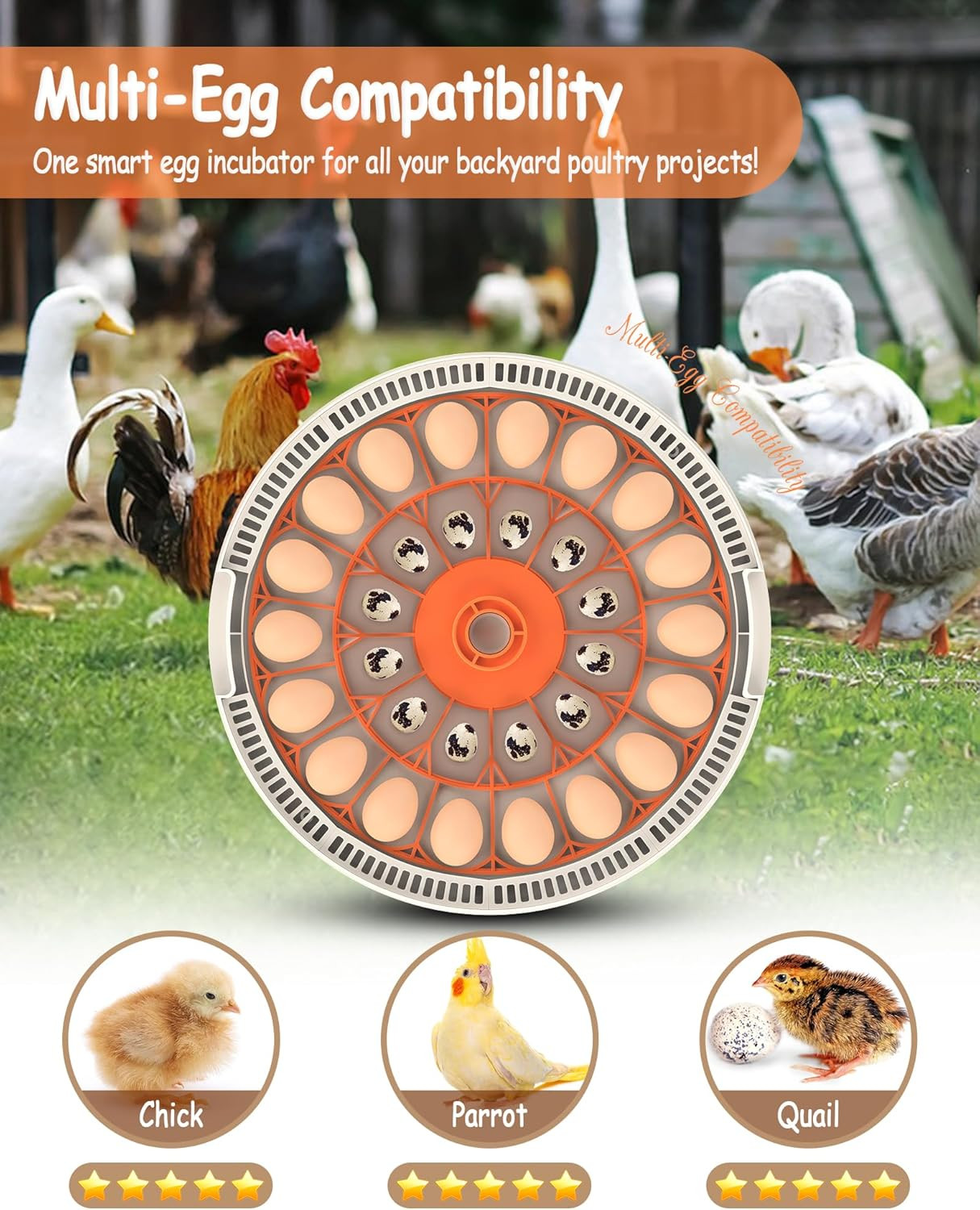 Incubator for Hatching Eggs, 30 Eggs Incubator with Automatic Egg Turning