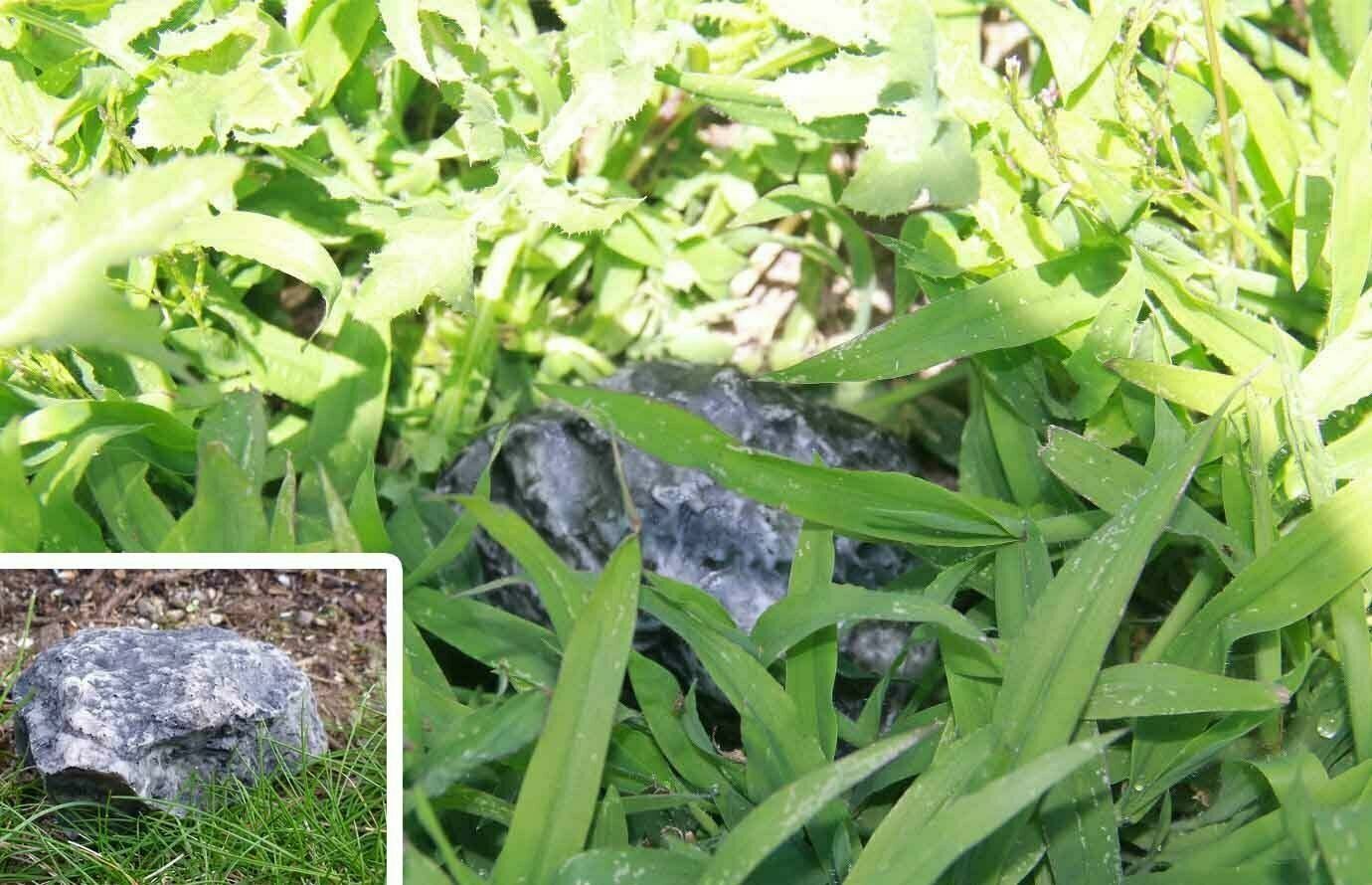 FingerLakes Hide-a-Key Fake Rock Looks & Feels Like Real Stone - Yard Geocaching