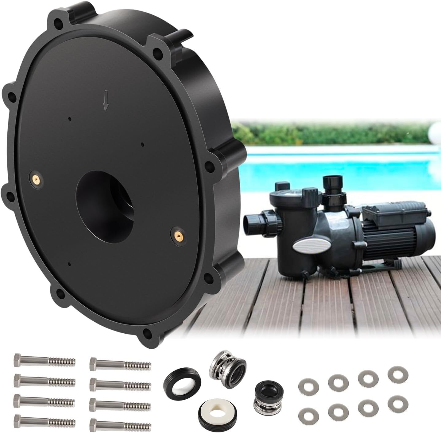 R0445200 Backplate Replacement for Zodiac Jandy Pool and Spa ePump, Stealth