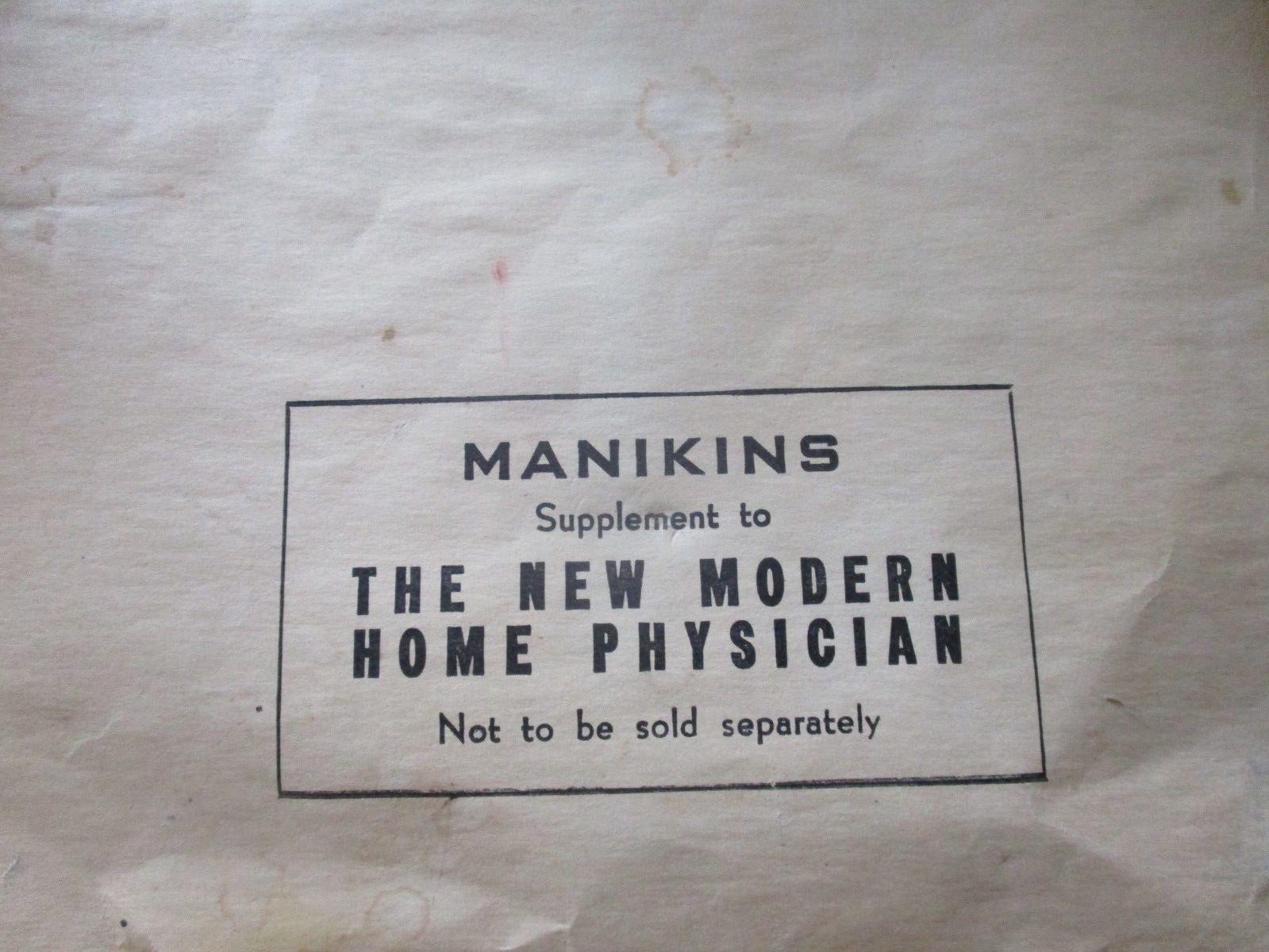 Vintage Anatomical Sectional Models Flip Charts Mankins