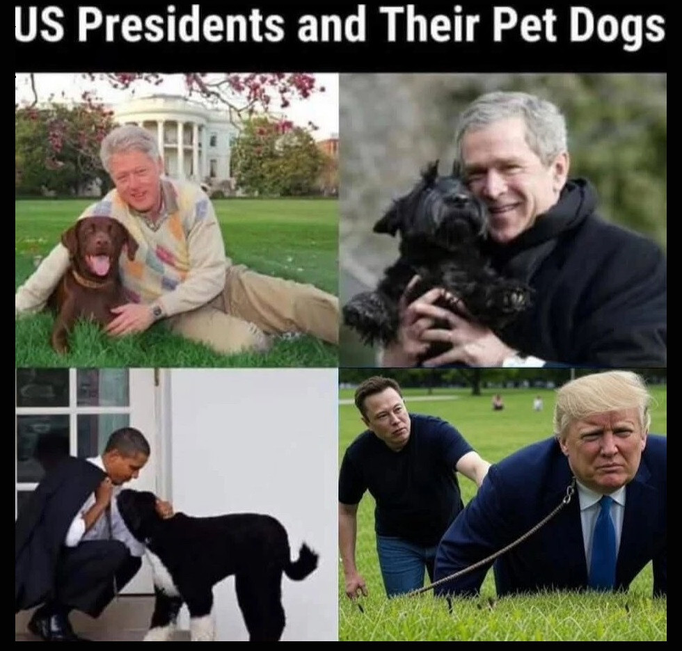 US PRESIDENTS & THEIR PET DOGS (MUSK - TRUMP) FUNNY FRIDGE MAGNET 4.25" X 4"