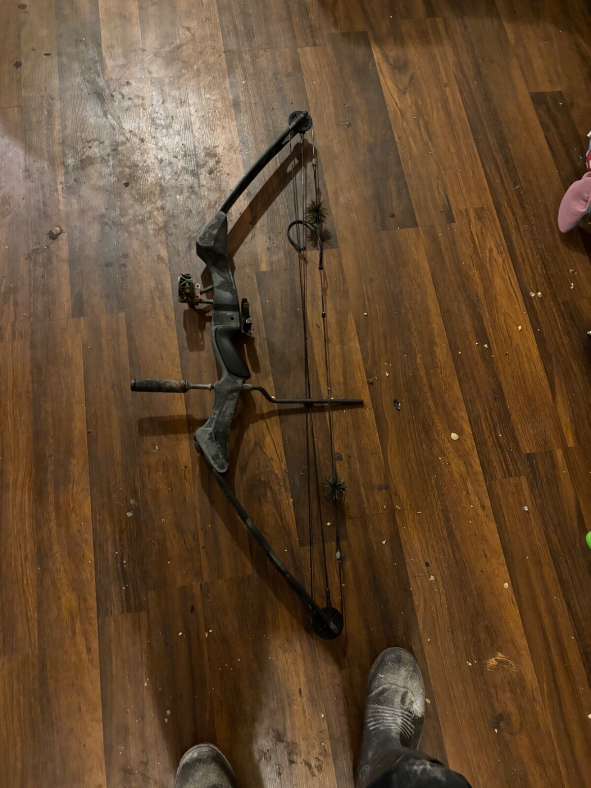 compound bow