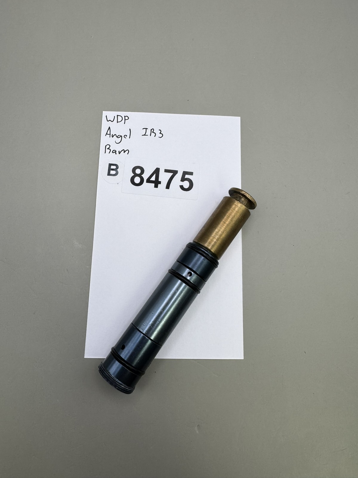 WDP Angel IB3 Ram