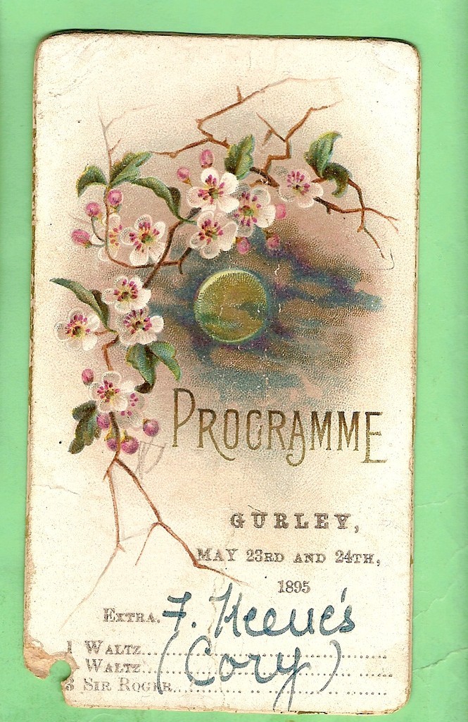 #D14. 1895 DANCE BALL ENGAGEMENT PROGRAMME