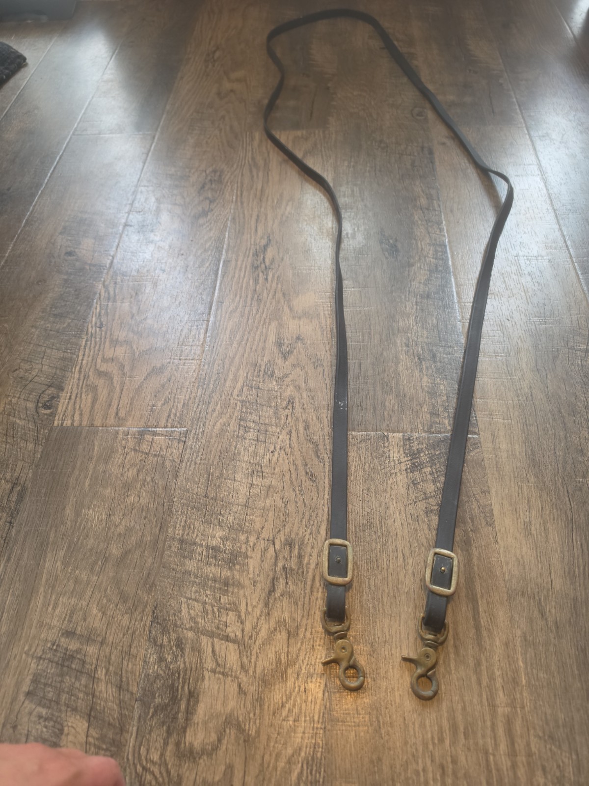 biothane reins