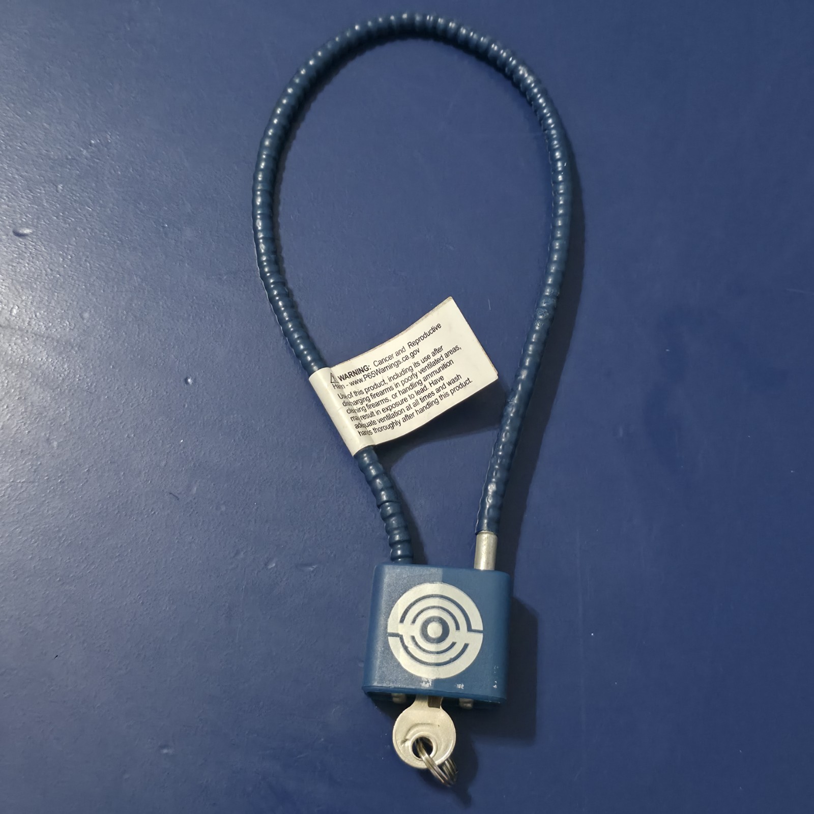 Regal Firearm Gun Safety Cable Lock R15SC3 15" One Key