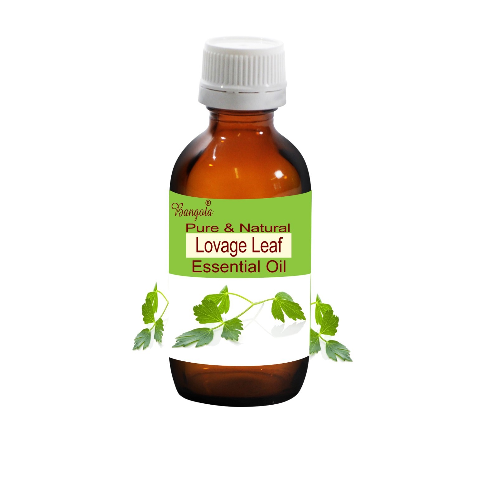 Lovage Leaf Essential Oil Natural Levisticum officinale Aromatherapy Oil Bangota