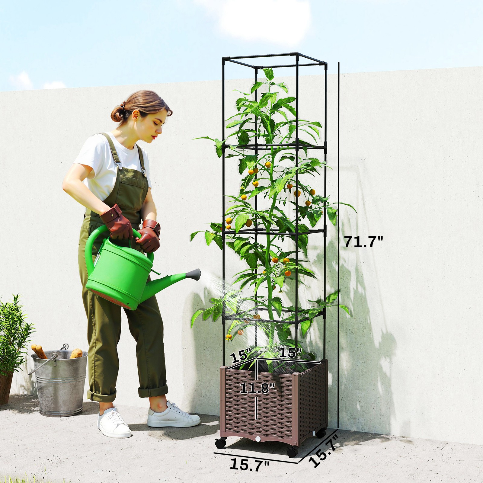 Raised Garden Bed with Trellis