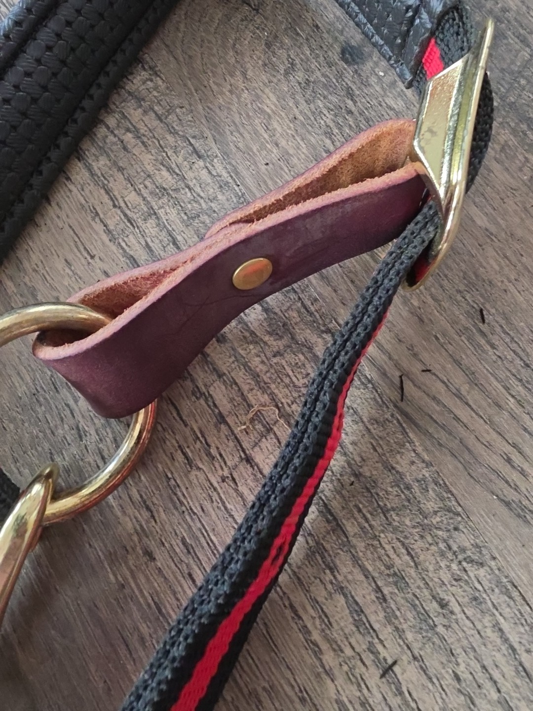 Cob Halter