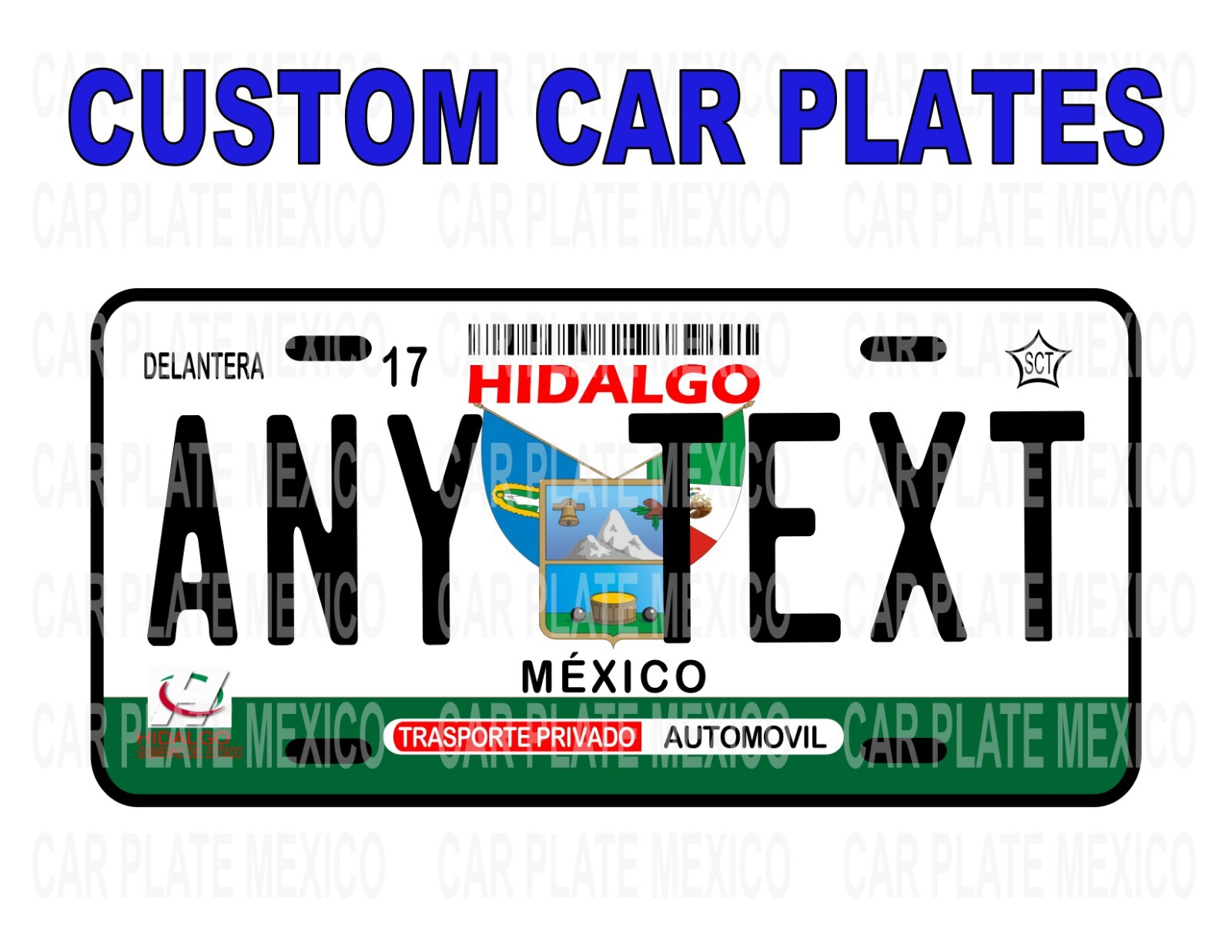 CUSTOM CAR PLATE  HIDALGO/ Placa Carro Mexico States/ Placa Hidalgo