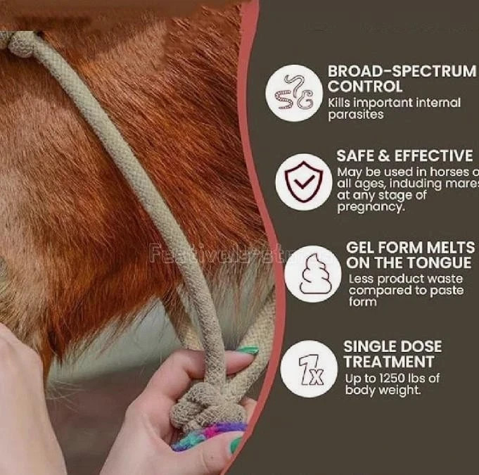 12 pack Paste Horse Dewormer Apple Flavor (6 DOSES)-1/2028