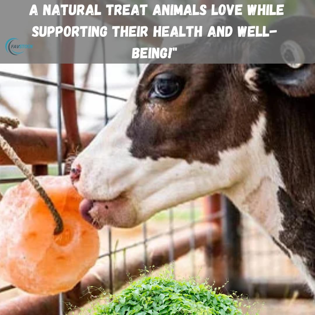 Himalayan Salt Lick for Horses, Deer, Goats, and Livestock – Salt Block on Rope