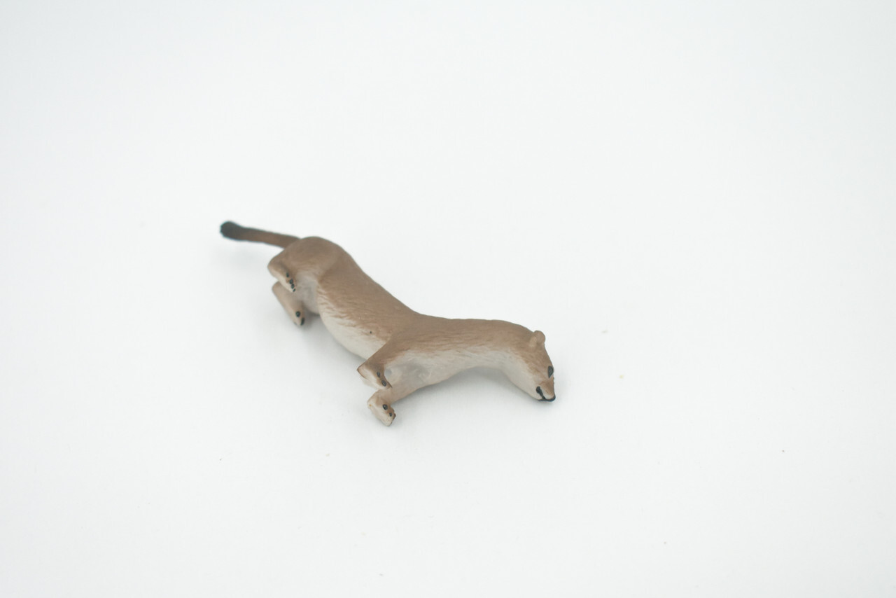 Fisher, Weasel Toy Animal, Realistic, Figure, Model, Toy, Gift, 3" CH534 BB159