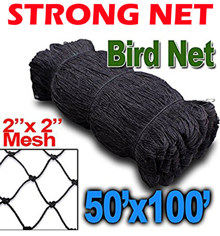 Strong 100ft x 50ft Anti Bird Baseball Poultry Soccer Game Fish Net 2" Mesh Hole