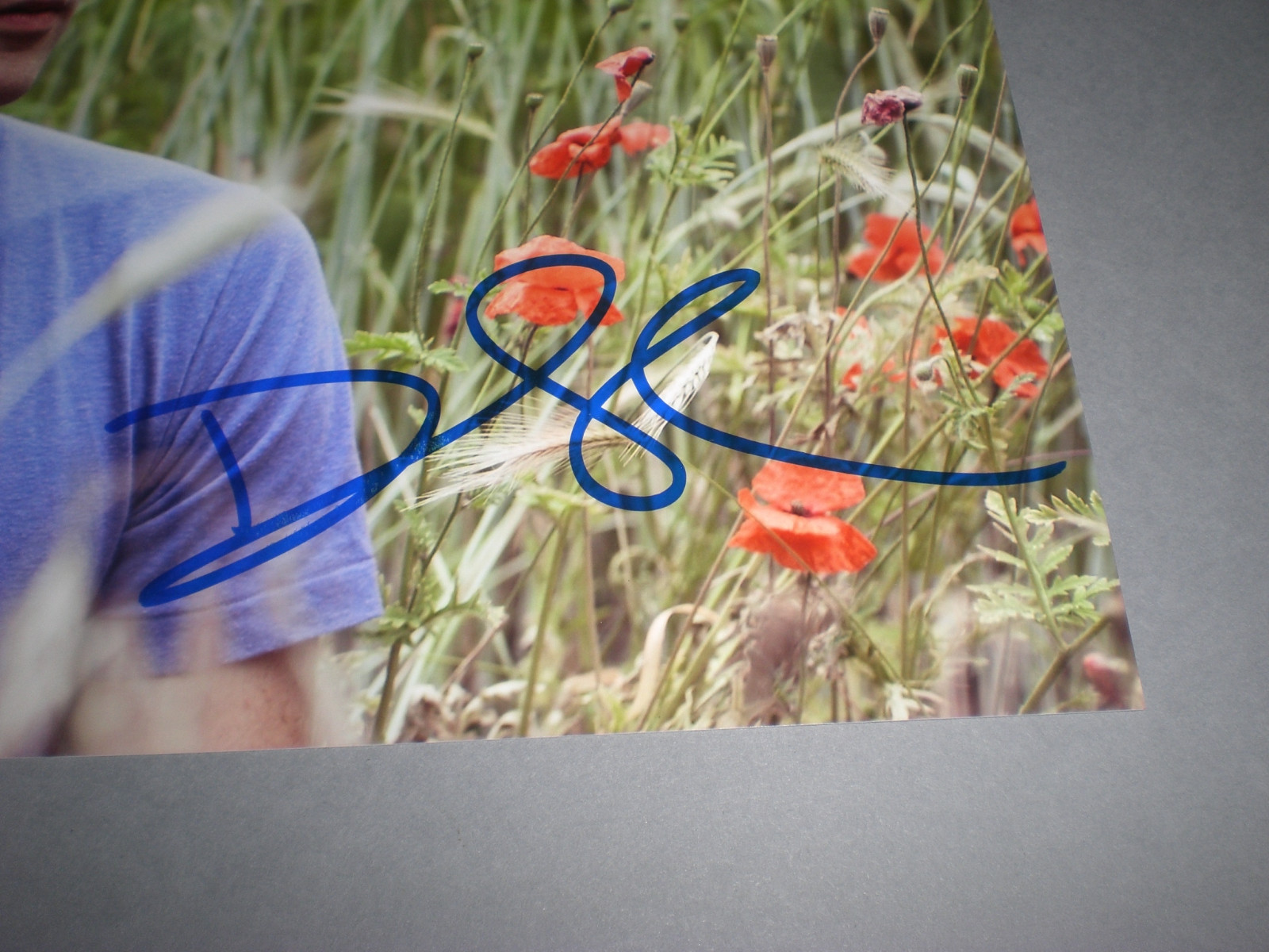 DJ Caribou Our Love signed autograph Autogramm 8x11 inch photo in person