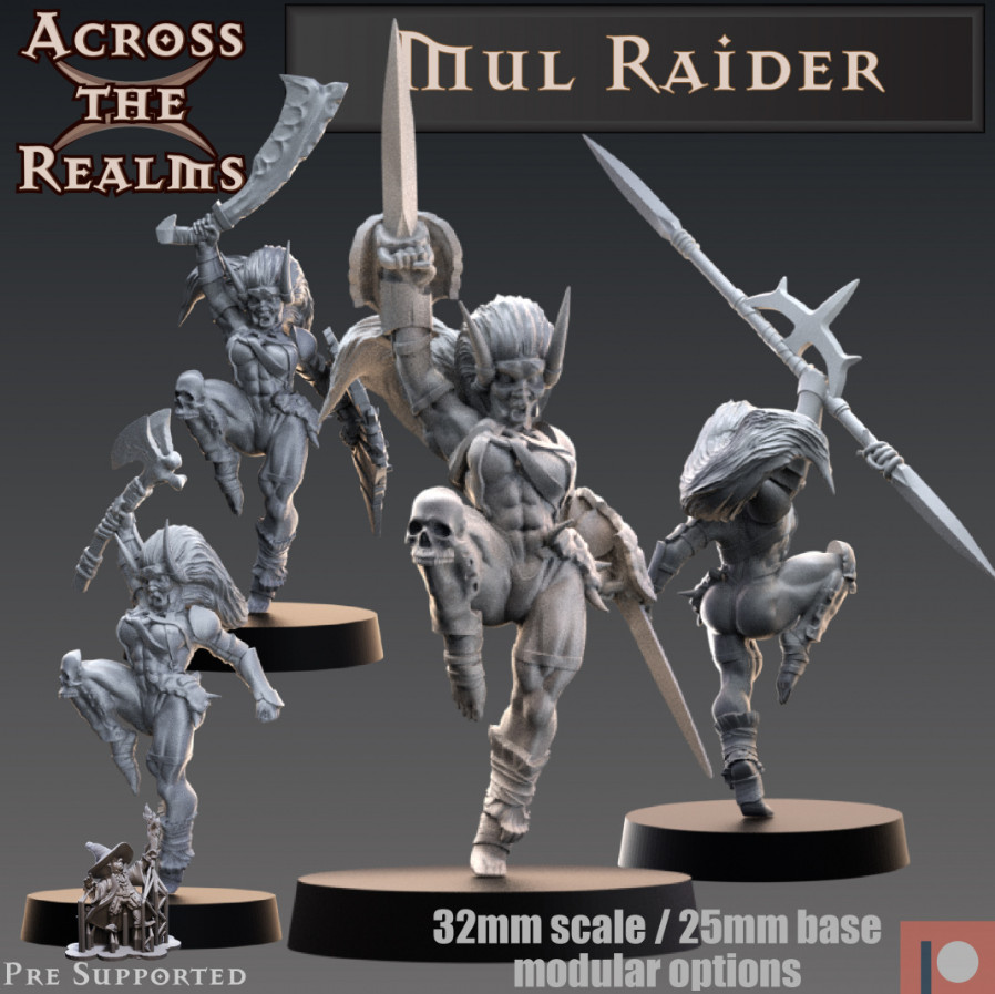 DnD  Mul Raider