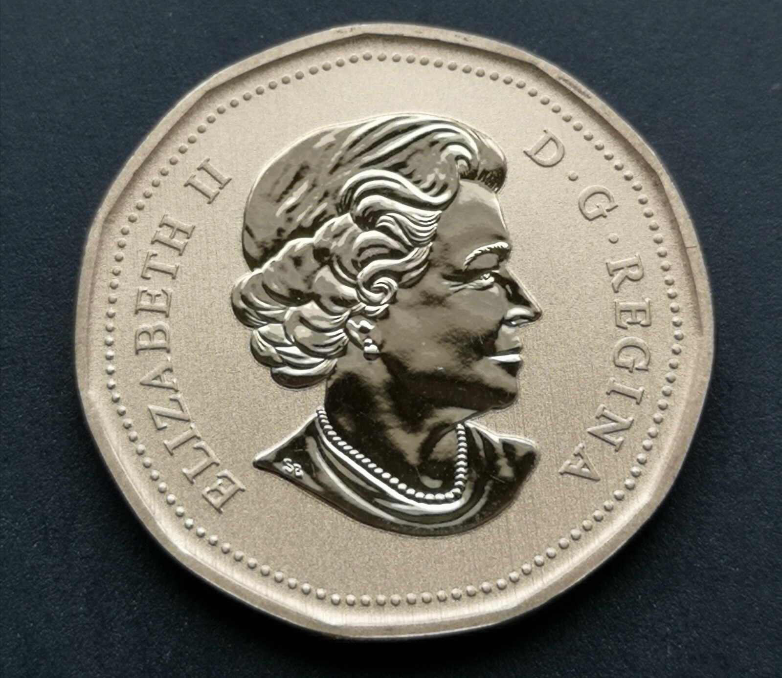 *** CANADA LOONIE 2013 *** BLUE - WINGED TEAL *** SPECIMEN ***