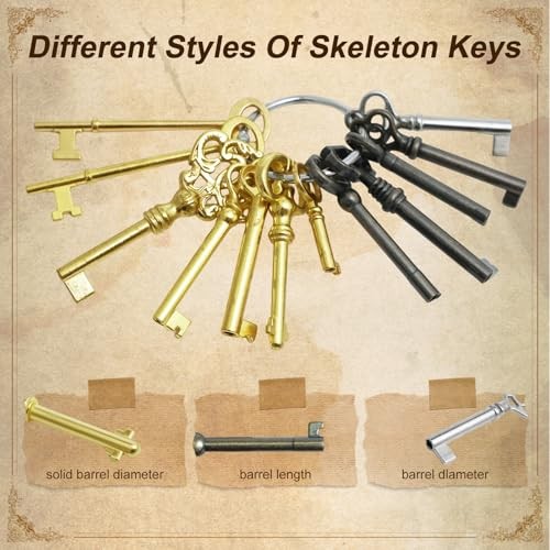 Universal Skeleton Key Set - 12PCS Hollow Barre Skeleton Keys Replacement for