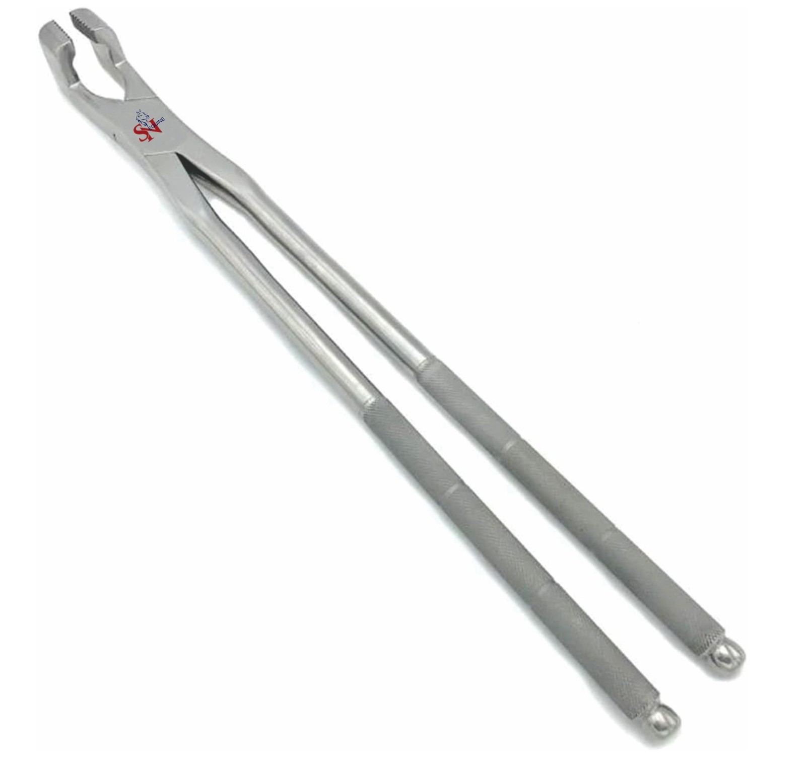 19" Serrated Jaw Equine Molar Extraction Forceps Equine Dentistry & Oral Care