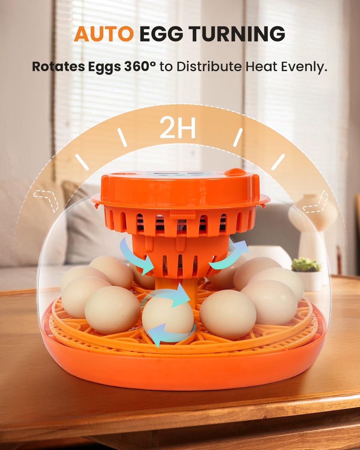 12 Egg Incubator with Automatic Turning & Humidity Control, Fully Automatic I...