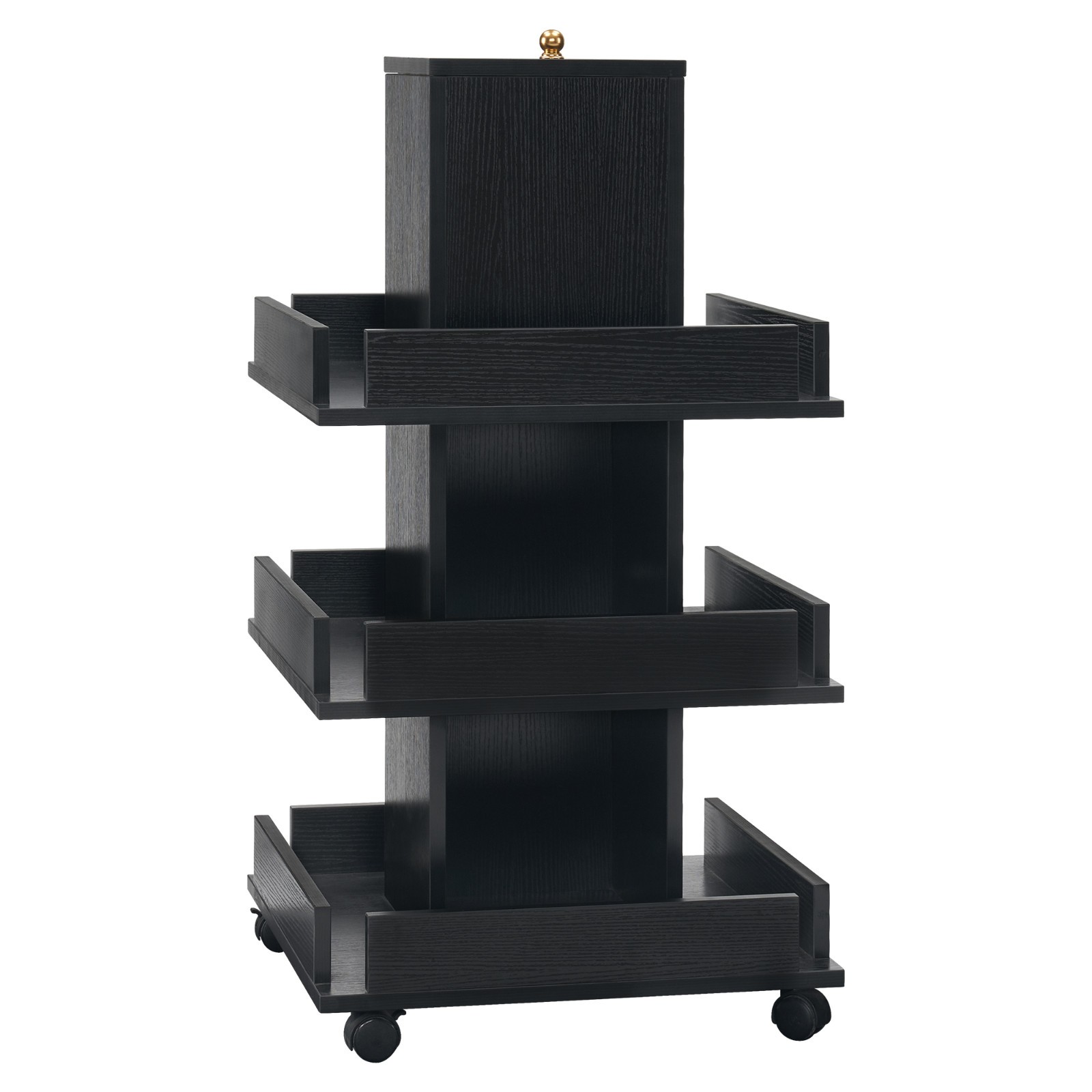 Multi-functional Salon Trolley with Wheels, 3-Tier Tool Storage Equipment